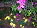 DSCN5978.JPG